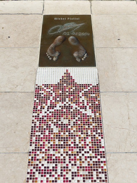 孙颖莎在本 孙颖莎在本