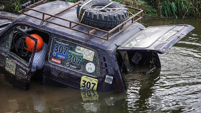它也因多次 它也因多次