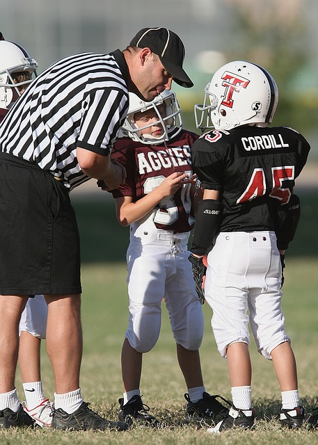 严格的移民 严格的移民
