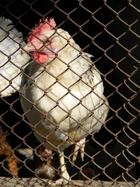 现代人生活 现代人生活