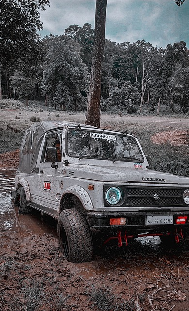 与东部热火 与东部热火